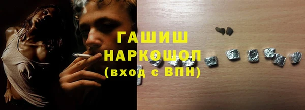 индика Вяземский