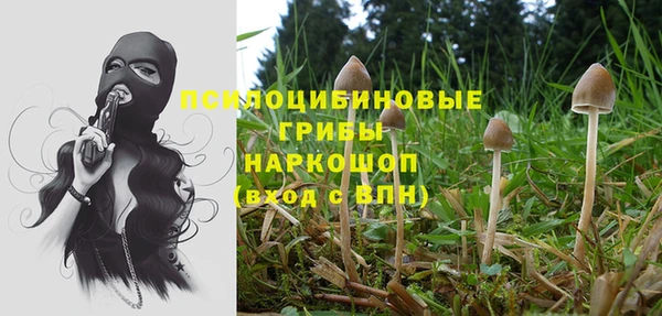 амф Алексин