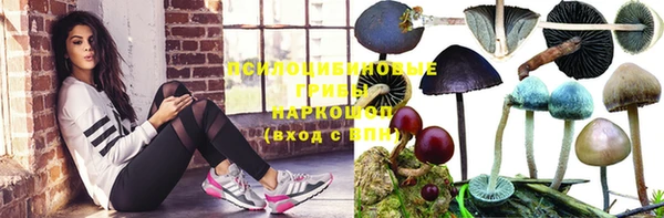 амф Алексин