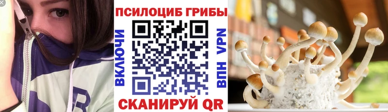 МЕГА сайт  Лукоянов  Галлюциногенные грибы Psilocybine cubensis 